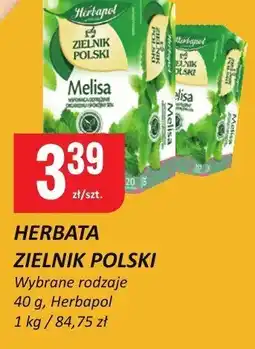 Chorten Herbata zielnik polski Herbapol oferta