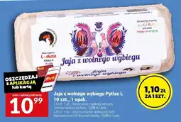 Twój Market Jaja z wolnego wybiegu Pytlas L 10 szt., 1 opak oferta