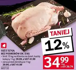 Selgros Gęś z szyją Selgros oferta