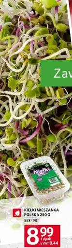 Selgros Kiełki mieszanka polska Selgros oferta