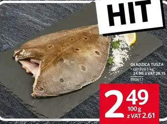 Selgros Gładzica tusza Selgros oferta