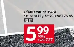 Selgros Ośmiorniczki baby Selgros oferta
