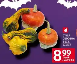 Selgros Dynia ozdobna malowana Selgros oferta