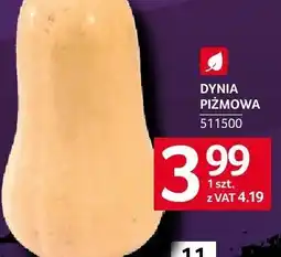 Selgros Dynia piżmowa Selgros oferta