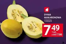 Selgros Dynia makaronowa Selgros oferta