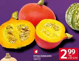 Selgros Dynia Hokkaido Selgros oferta