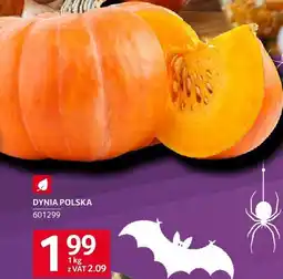 Selgros Dynia polska Selgros oferta