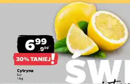 Netto Cytryna oferta