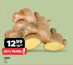 Netto Imbir luz oferta