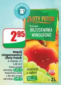 Dino Napój niegazowany Złoty Potok oferta