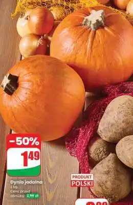 Dino Dynia jadalna oferta