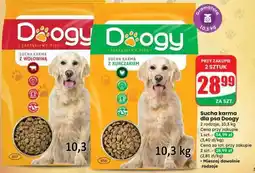 Dino Sucha karma dla psa Doogy oferta