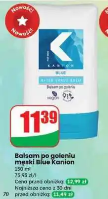Dino Balsam po goleniu męski Blue Kanion oferta