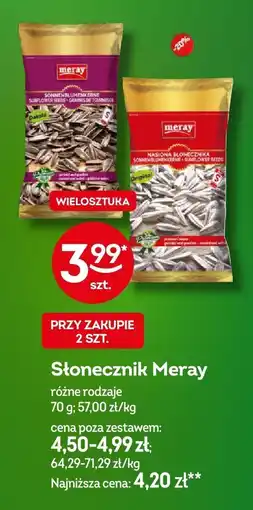 Żabka Słonecznik Meray różne rodzaje oferta