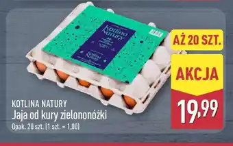 ALDI Jaja od kury zielononóżki oferta