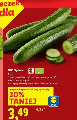 Lidl Ogórek bio oferta