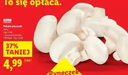 Lidl Pieczarki polska oferta