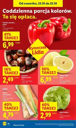 Lidl Kasztany jadalne oferta