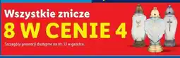 Lidl Znicz oferta