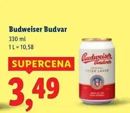 Lidl Piwo Budweiser oferta