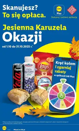 Lidl Serek z chrzanem Hochland Almette oferta