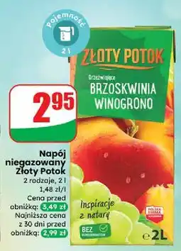 Dino Napój brzoskwinia- winogrono Złoty Potok oferta