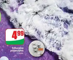 Dino Sztuczna pajęczyna oferta