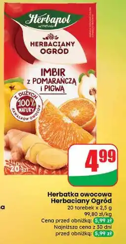 Dino Herbata imbir z pomarańczą i pigwą Herbapol Herbaciany Ogród oferta