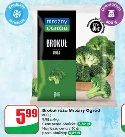 Dino Brokuły Mroźny Ogród oferta