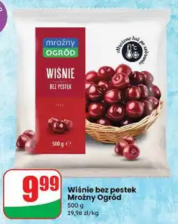 Dino Wiśnie Mroźny Ogród oferta