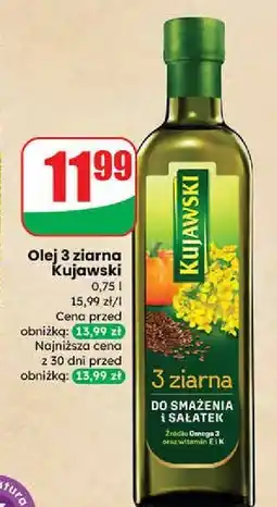 Dino Olej z lnem oraz pestakami dyni Kujawski 3 Ziarna oferta