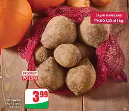Dino Buraki oferta