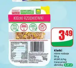 Dino Kiełki rzodkiewki Uniflora oferta