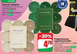 Dino Podgrzewacze przytulne miejsce oferta