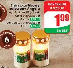 Dino Znicz zalewany 30 h Angela oferta