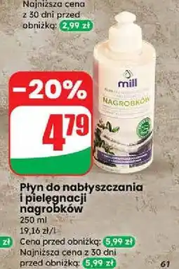 Dino Płyn do nabłyszczania i pielęgnacji nagrobków Mill oferta