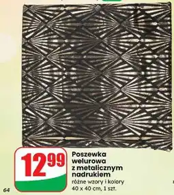 Dino Poszewka z nadrukiem 40 x cm oferta