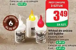 Dino Wkład led Subito oferta