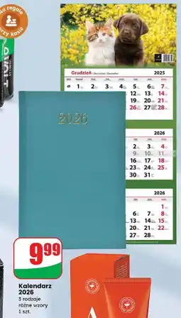 Dino Kalendarz trójdzielny oferta