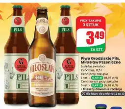 Dino Piwo pils Browar Grodzisk oferta