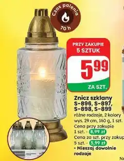 Dino Znicz s-899 oferta