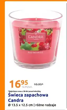 Action Świeca zapachowa Candra oferta