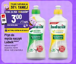 Polomarket Płyn do mycia naczyń Ludwik Grupa Inco oferta