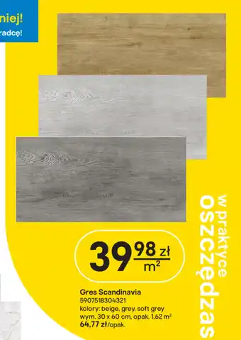 Castorama Gres Soft oferta