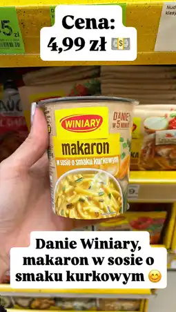 Dino Makaron w sosie o smaku kurkowym Winiary oferta