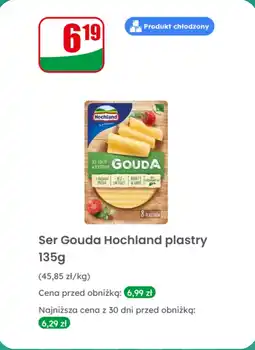 Dino Ser Gouda plastry Hochland oferta