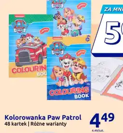 Action Kolorowanka Paw Patrol 449 oferta