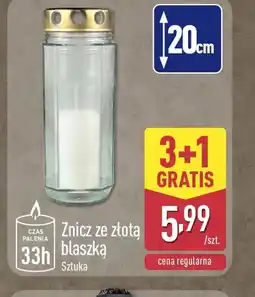 ALDI Znicz ze złotą blaszką oferta