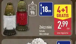 ALDI Znicz mini oferta
