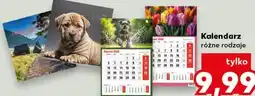 Kaufland Kalendarz ścienny oferta